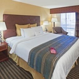 Zimmer Crowne Plaza DALLAS DOWNTOWN Fotos