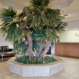 Hotelfotos Ramada Hotel And Suites Sioux Falls Airport