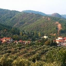 Hotelfotos Natur-Med Termal Sağlık Oteli