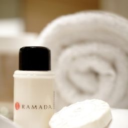  Ramada Mitte Fotos