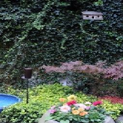 Jardin Art Hotel Praha Fotos
