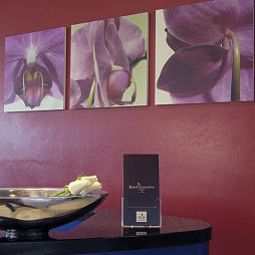 Hall Executive Forli Fotos