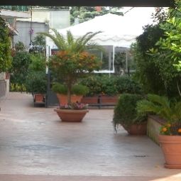 Сад San Paolo Fotos