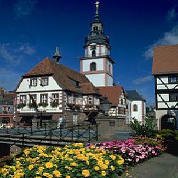 Panorama Odenwaelder Wappenstube Fotos