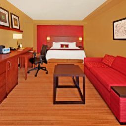 Room Courtyard Miami Beach Oceanfront Fotos