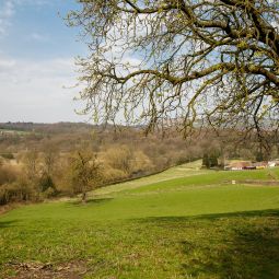 Mercure Bradford Bankfield Hotel Bingley 