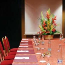Sala congressi Crowne Plaza GENEVA Fotos