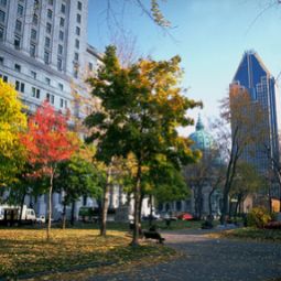  Residence Inn Montreal Westmount Fotos