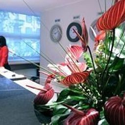 Reception Idea Hotel Milano Corso Genova Fotos