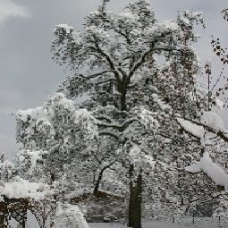Panorama Zum Reschen Fotos