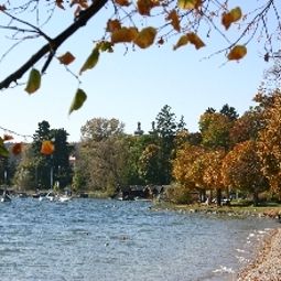 Ambiente Zum Reschen Fotos