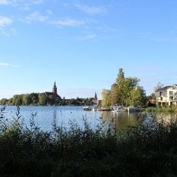 Entorno FerienResidenz MüritzPark Fotos