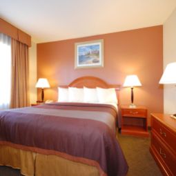 Zimmer BEST WESTERN Airport Plaza Inn Fotos