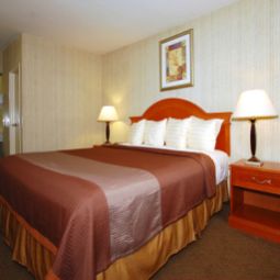Zimmer BEST WESTERN Airport Plaza Inn Fotos