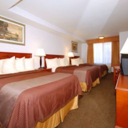 Zimmer BEST WESTERN Airport Plaza Inn Fotos