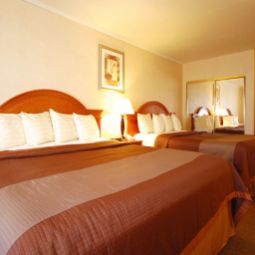 Zimmer BEST WESTERN Airport Plaza Inn Fotos