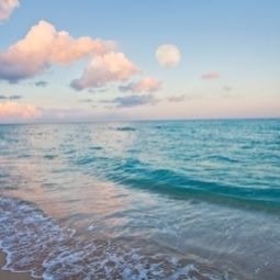  Holiday Inn MIAMI BEACH-OCEANFRONT Fotos