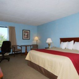 Номер BEST WESTERN Framingham Fotos