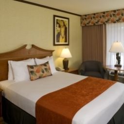 Camera BEST WESTERN Seven Seas Fotos