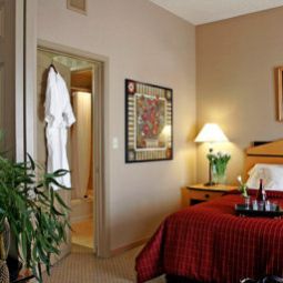 Camera Sheraton Suites Houston Near The Galleria Fotos