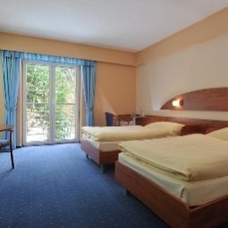 Chambre Břízky Fotos