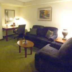 Suite Hilton Garden Inn Detroit Downtown Fotos