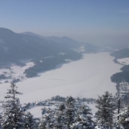 Bauernhof Treindlhof Fuschl am See 
