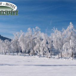  Am Dorfplatz - Gasthof Hotel Kirchenwirt Fotos