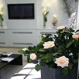 Hall de Nemours Fotos