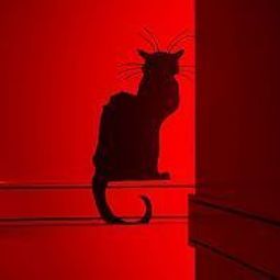 Vue intérieure Le Chat Noir Fotos