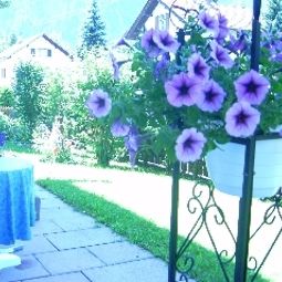 Terrasse Antonia Garni Fotos