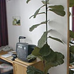 Chambre Das Kleine Hotel Stadt-gut-Hotel Fotos