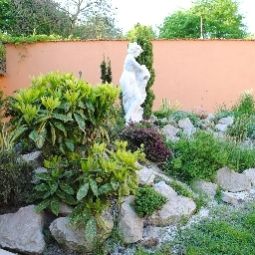 Garten Viktória Fotos