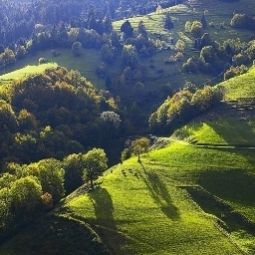 Vue Brandbach Fotos