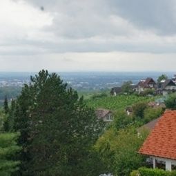 Vue Brandbach Fotos