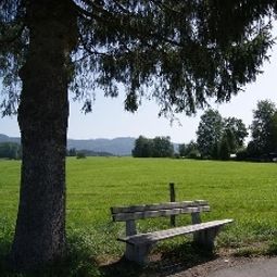  Zur Grenze Landhotel Fotos