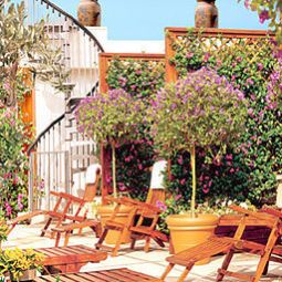 Terrazza Dei Mellini Fotos