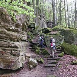Vue Ritschlay Eifel Selektion Fotos
