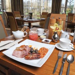 Breakfast room Pinewood Fotos