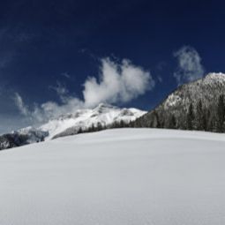  Asi-Lodge Tirol Fotos