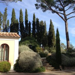 Jardin Le Logge del Perugino Park Hotel Fotos