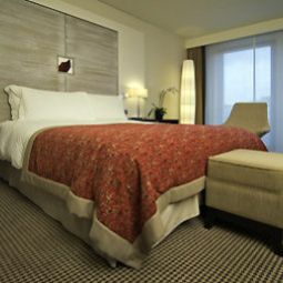 Chambre Sofitel Brussels Europe Fotos
