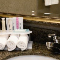 Camera Holiday Inn Express Hotel & Suites SPRINGFIELD-MEDICAL DISTRICT Fotos