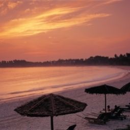 Angsana Resort and Spa Bintan Martapura 
