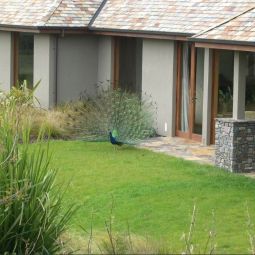Treetops Lodge and Wilderness Experience Rotorua 