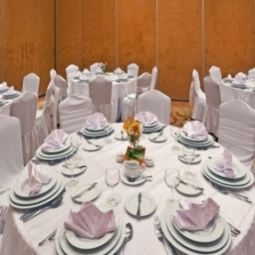 Sala banchetti Holiday Inn CIUDAD DE MEXICO-TRADE CENTER Fotos