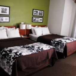 Chambre Sleep Inn Near Quantico Main Gate Fotos