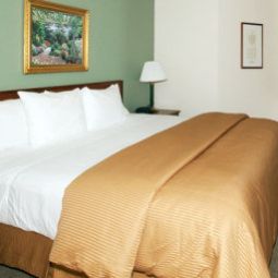 Chambre an Ascend Hotel Collection Member Kress Inn Fotos