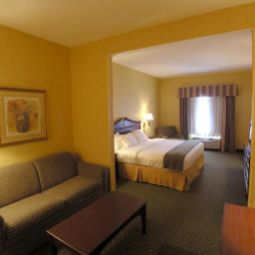 Chambre Holiday Inn Express Hotel & Suites WILLIAMSBURG Fotos