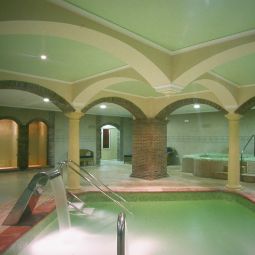 Zona Wellness Gran Hotel Benahavis Fotos